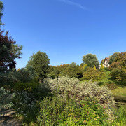 IMG-0602