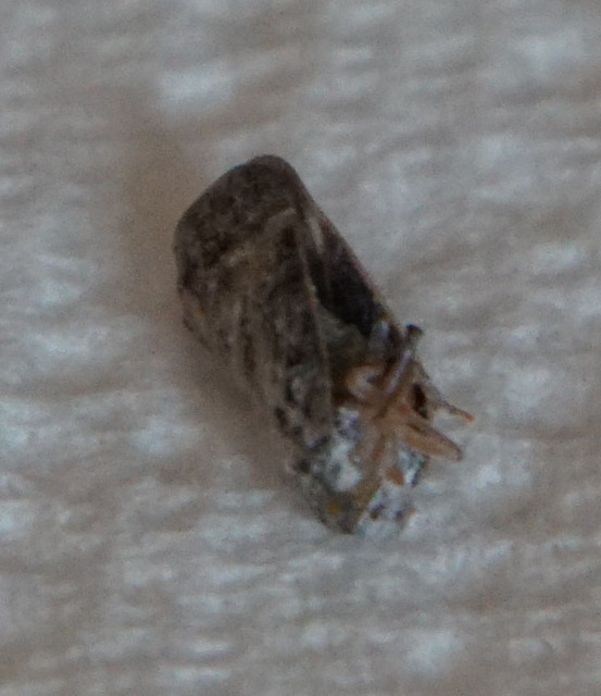 DSC06502 v2