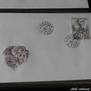 IMG-2564