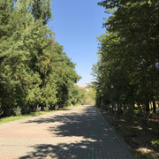 IMG-0885