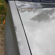 https://i.ibb.co/R2GS097/Resized-20190621-163352.jpg