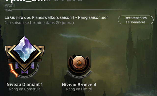 https://i.ibb.co/R2H5bM1/Sans-titre.png