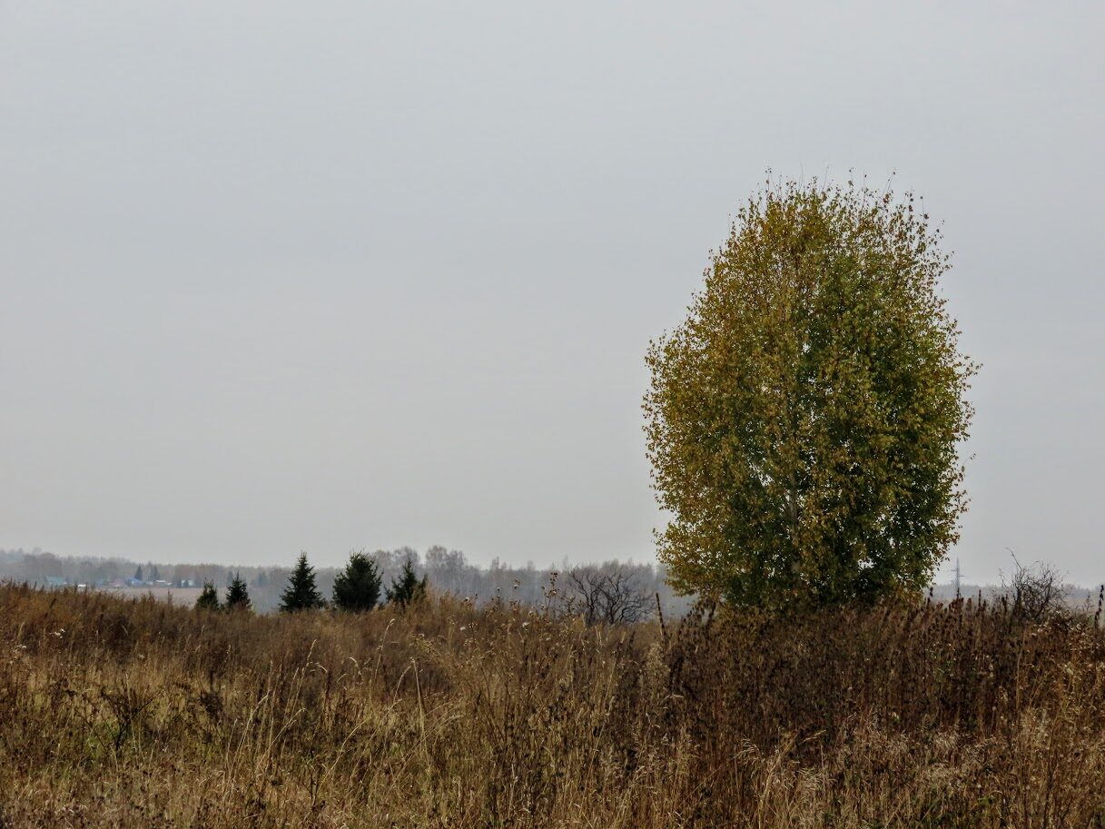 i-33