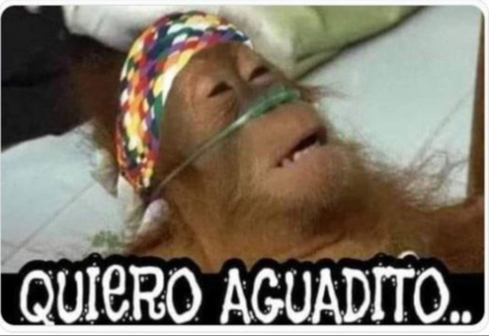 QUIERO.jpg