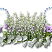 0-97a9c-80fc499e-M