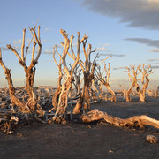 Epecuen-42