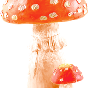 Mushrooms1