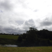 DSCF7607