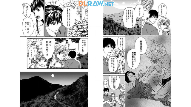 DLRAW-NET-012