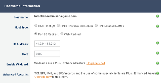 dns