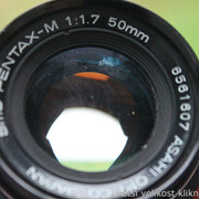 IMG-1877
