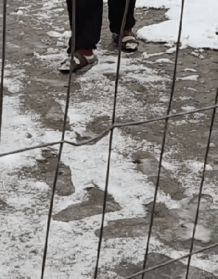 wongeln4.gif