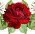0-827db-96ff2344-XL