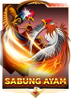 Sabung Ayam