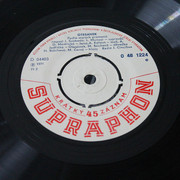 IMG-9566