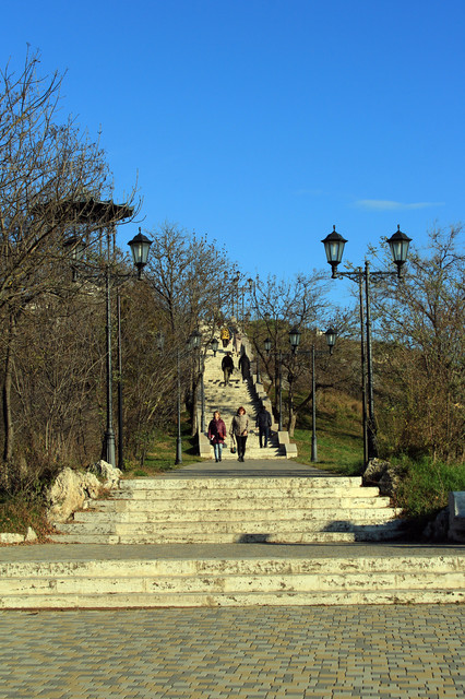 IMG-0953.jpg