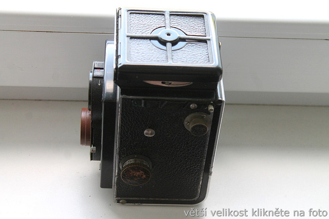 IMG-3136.jpg