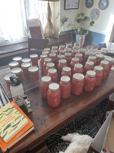 IMG 1086