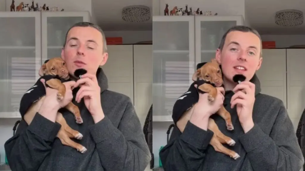Rescue Dog Has a Message for Human Who Abandoned Him