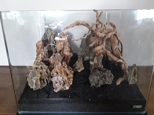 20180728 144856