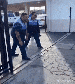 daily-gifdump-3519-33.gif