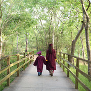 IMG-9978
