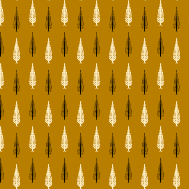 244.png