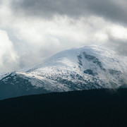 IPB Image