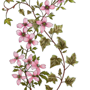 01-554