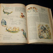IMG-3829