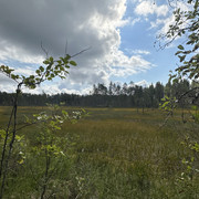 IMG 4572
