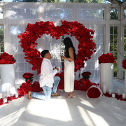 IMG-4422