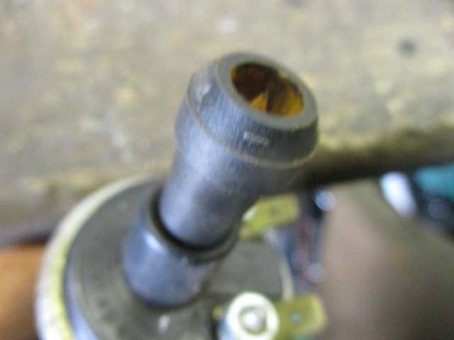 IMG-5848.jpg