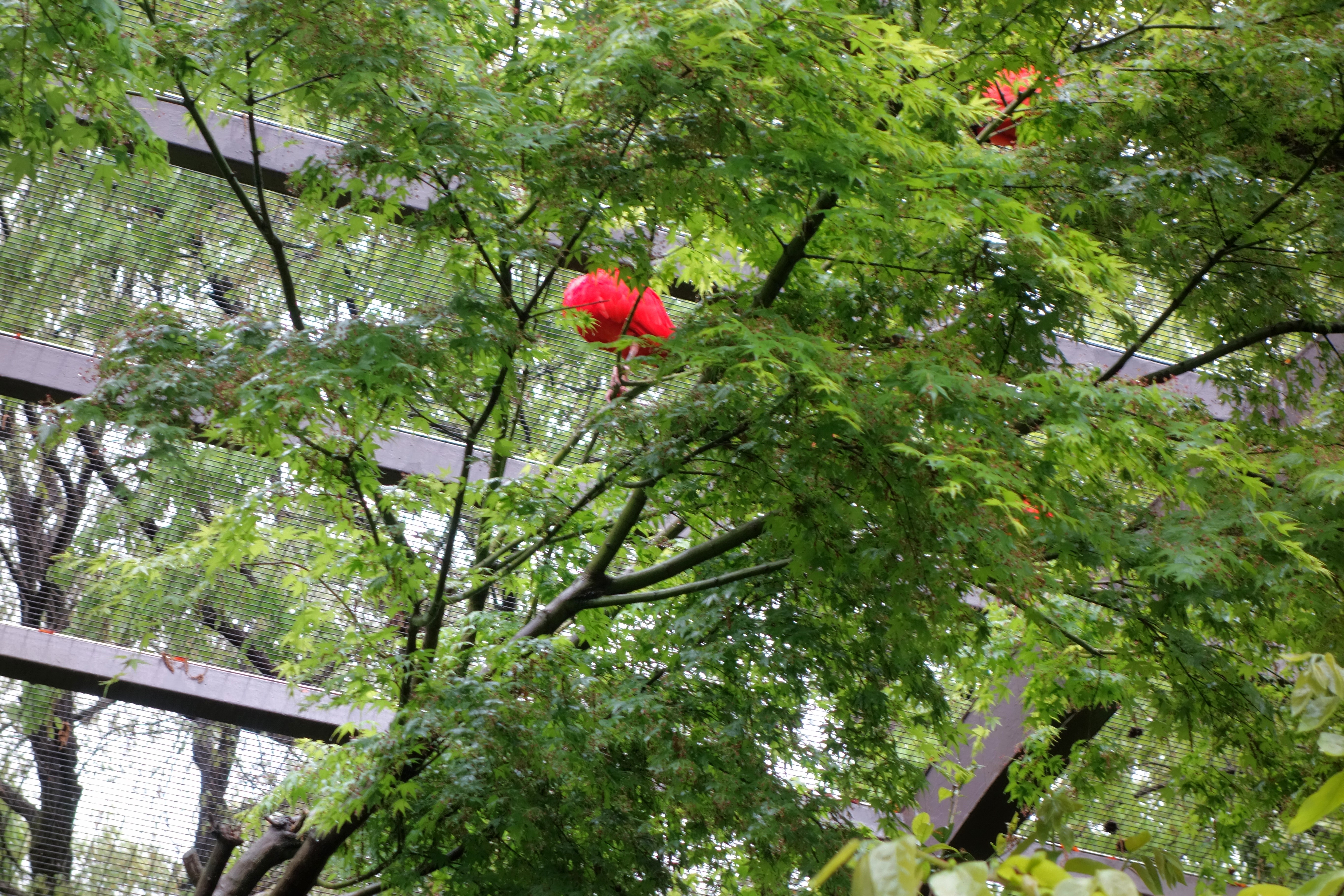 DSC01190