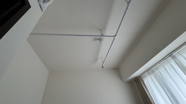 IMG 4545