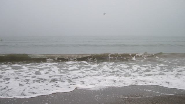 IMG-1235