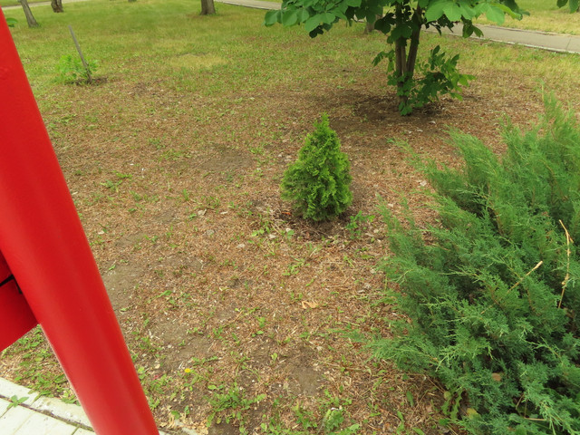 IMG-1831
