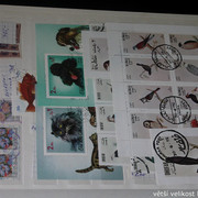 IMG-3775