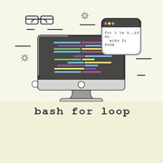 bash for loop 768x407 q75