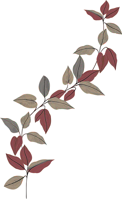 b4eb49a1fd5bba2bb47b9c2d85e0cb16.png