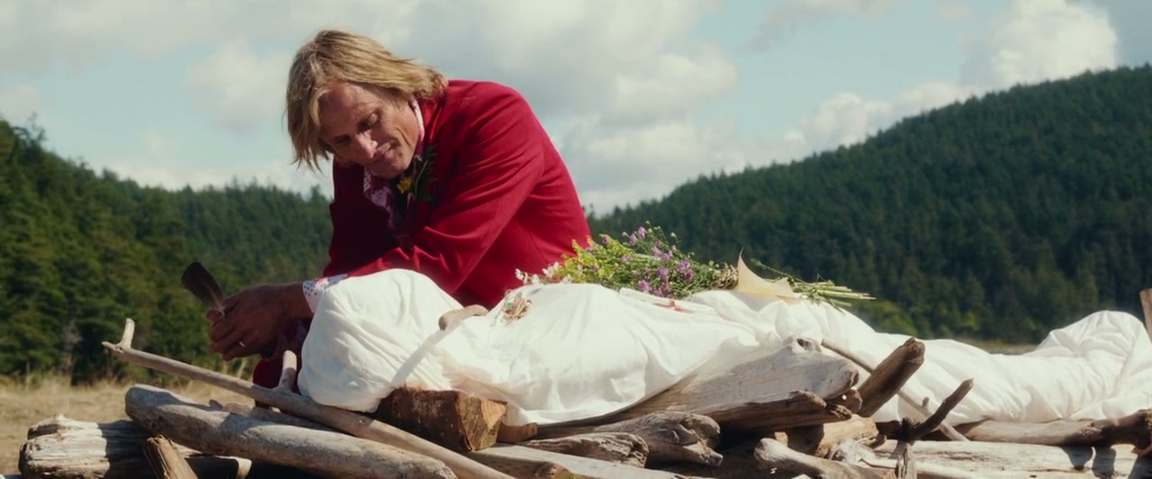 Captain Fantastic Screenshot