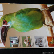 IMG-7739