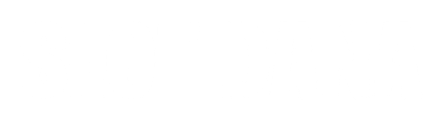 SLOT DANA