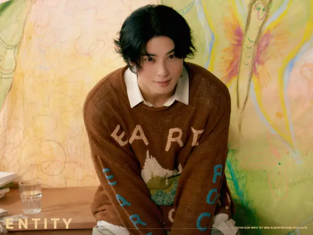 cha eun woo 1314985