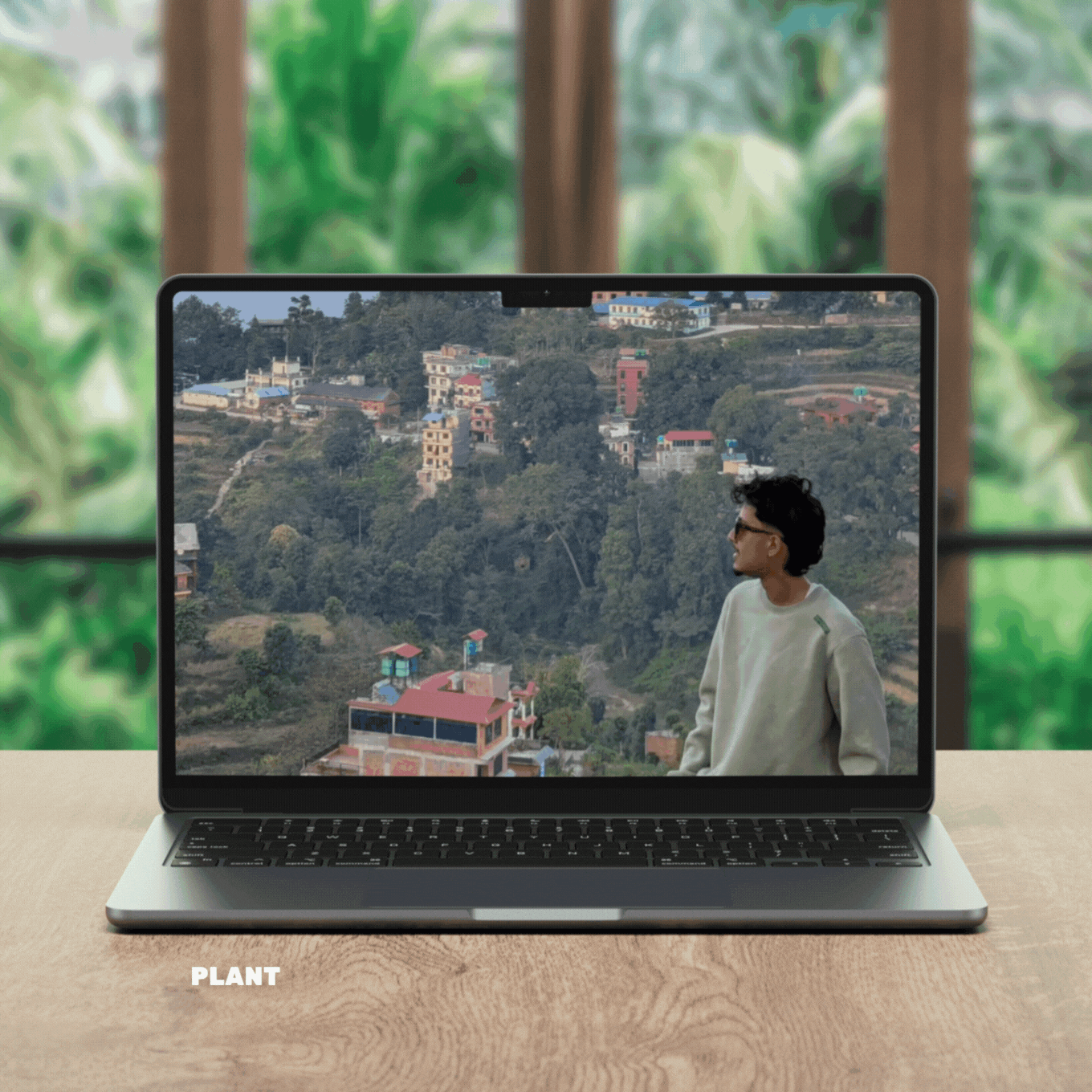 plant-laptop-image