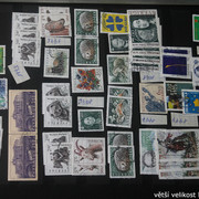 IMG-2298