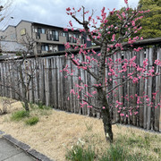 IMG-2846
