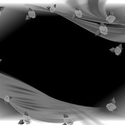 g-229