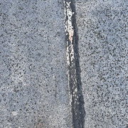IMG-7122