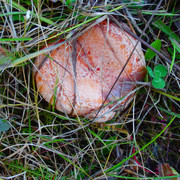 P9260086